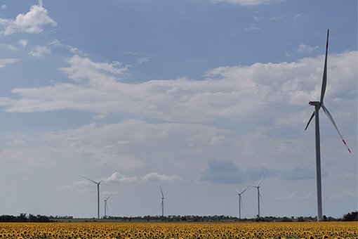 wind turbines in a field